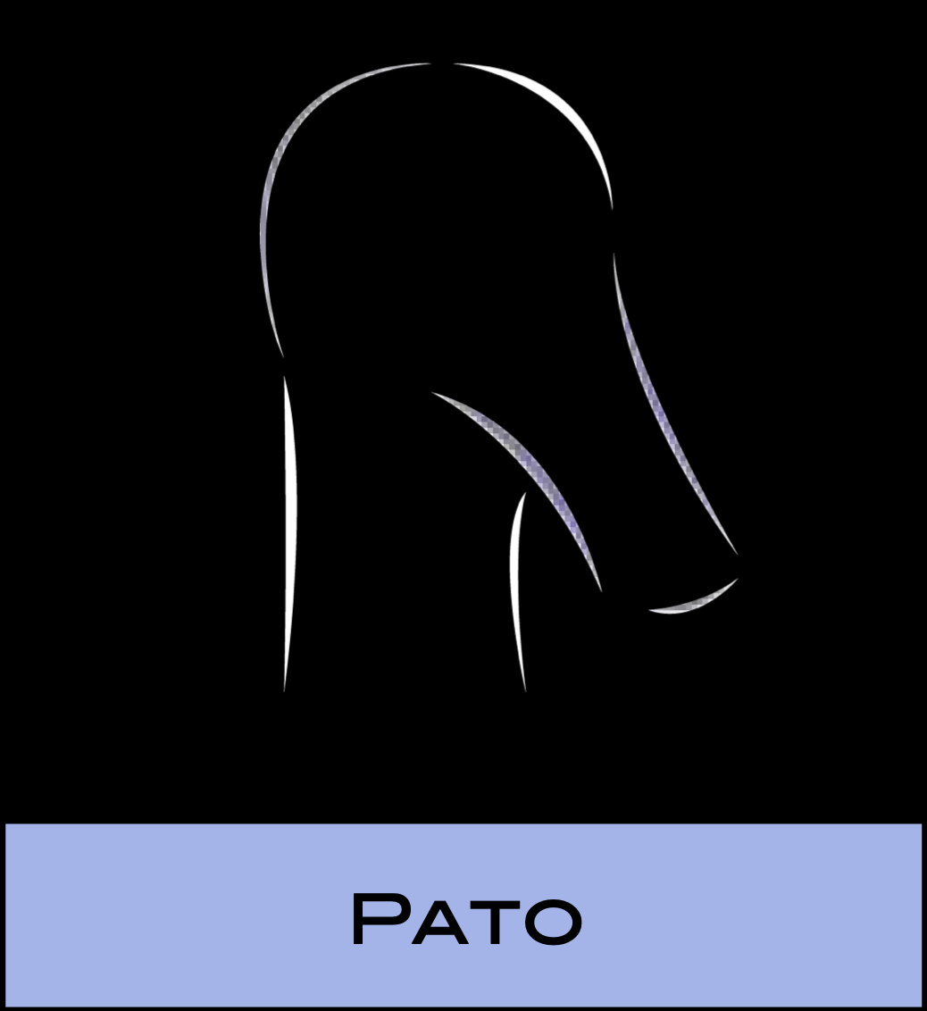 Pato