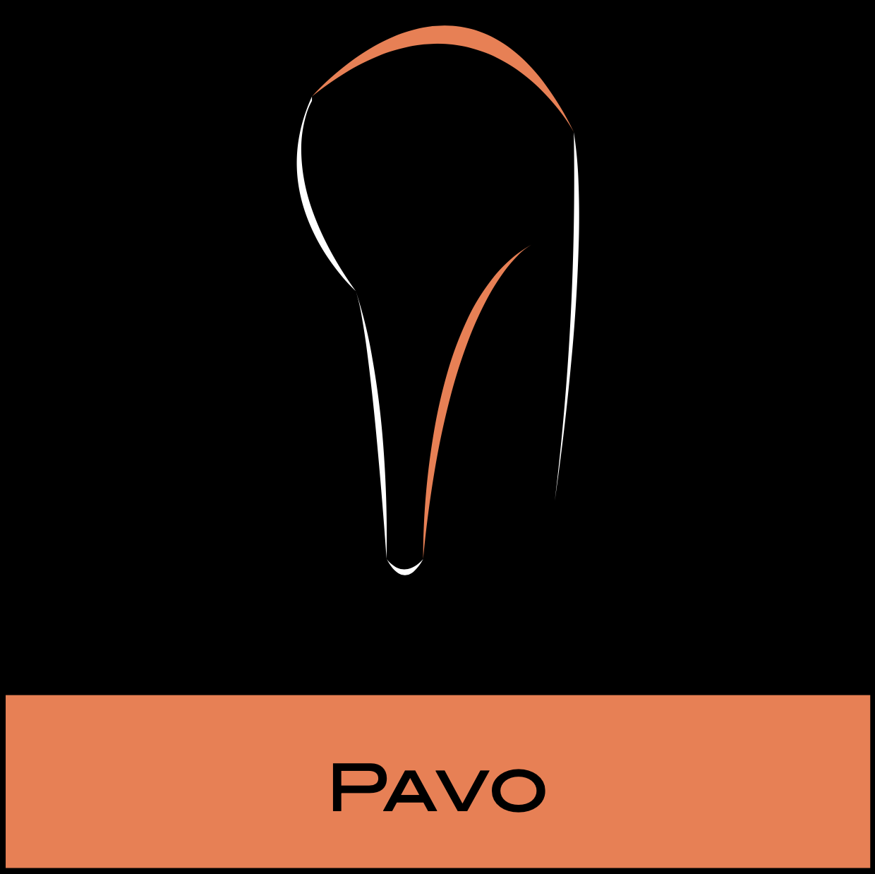 Pavo