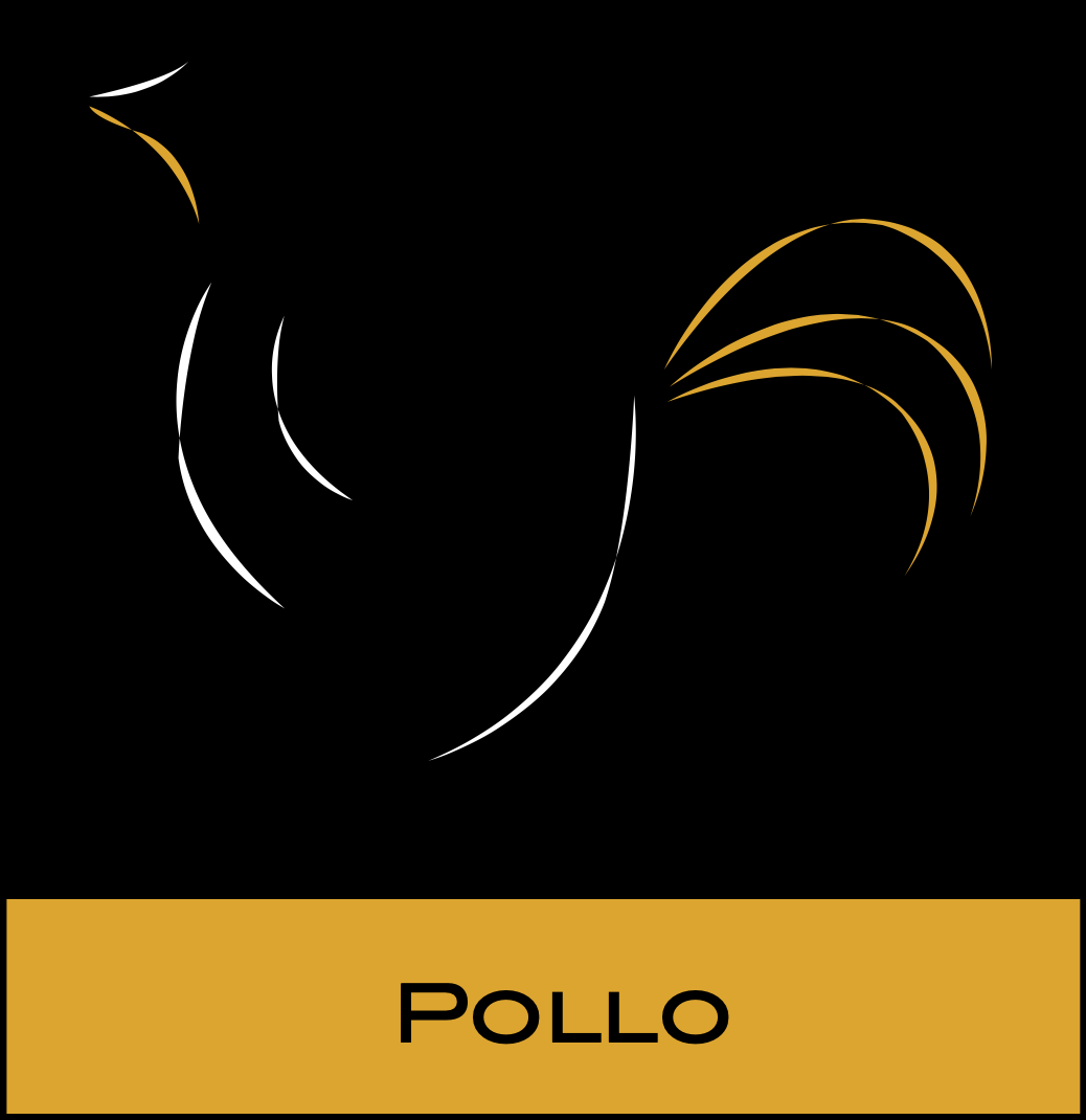 Pollo